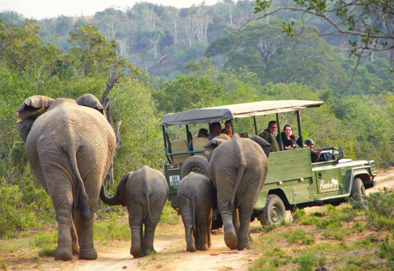 Pumba Private Game Reserve Grahamstown Exterior photo