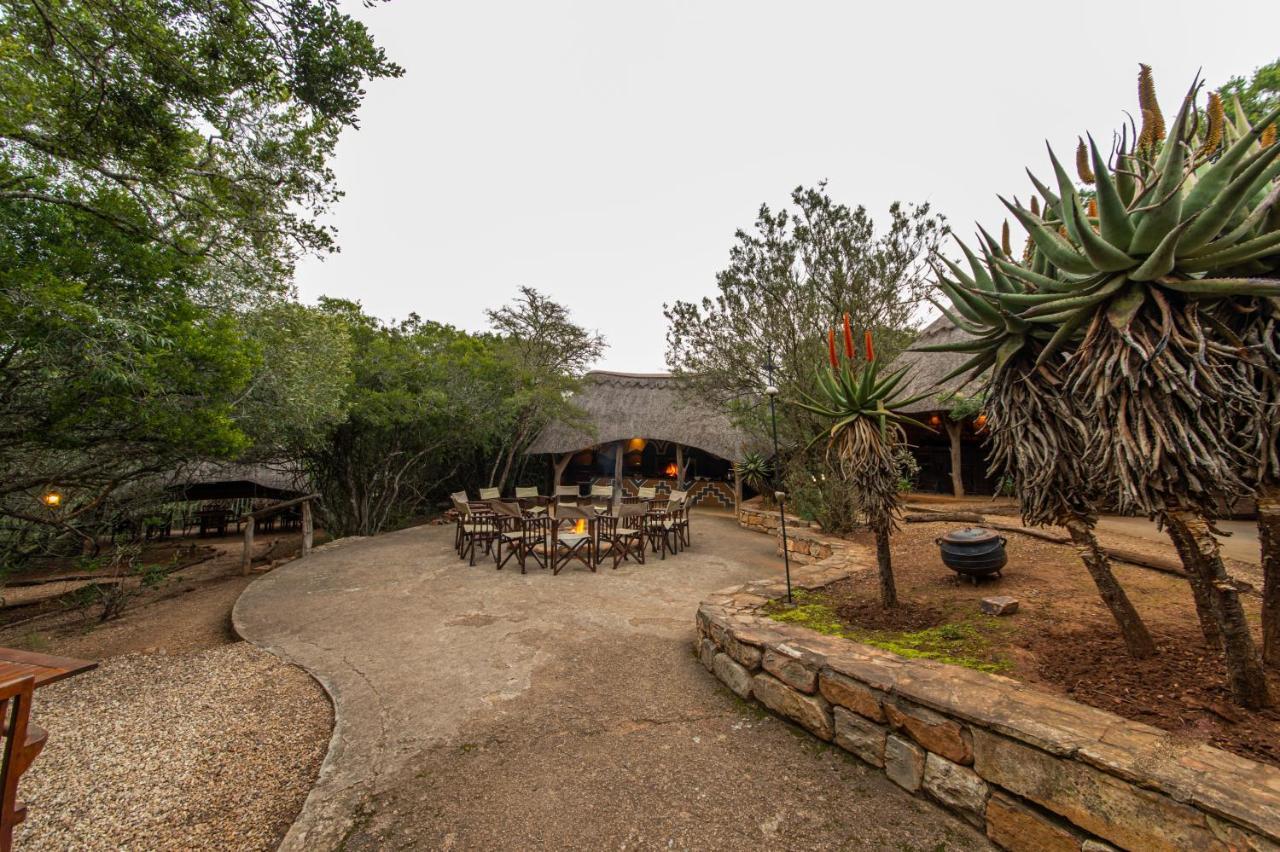 Pumba Private Game Reserve Grahamstown Exterior photo